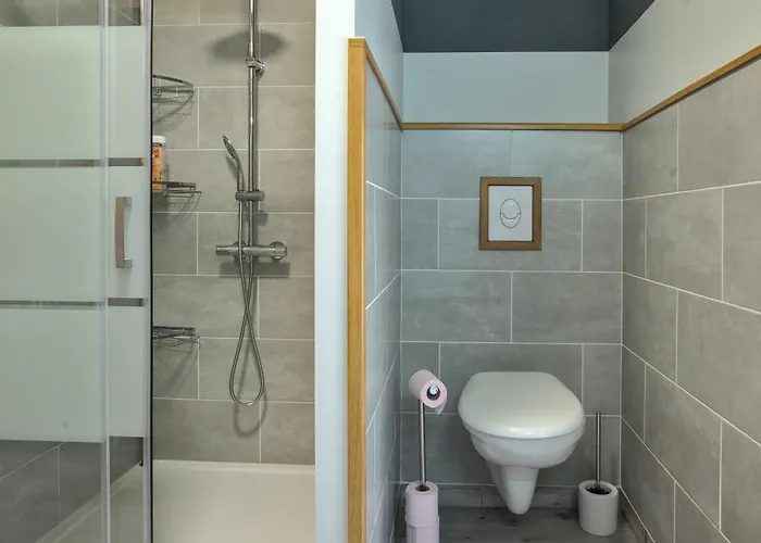 Le Du Centre, Parking Avec Recharge Pour Vehicule Electrique 公寓